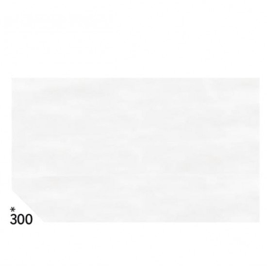 Carta velina - 50 x70cm - 20 gr - bianco 300 - Rex Sadoch - busta 26 pezzi