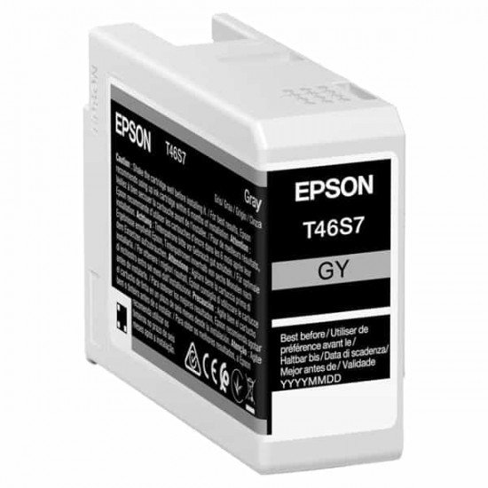 Epson - Cartuccia UltraChrome Pro 10 - Grigio - C13T46S700 - 25 ml